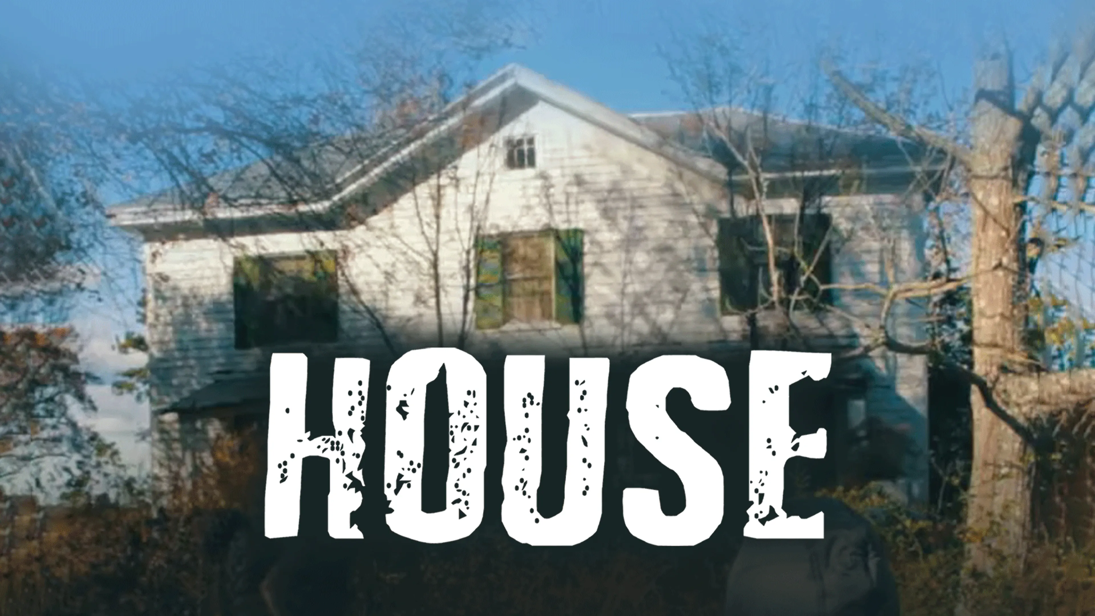House poster